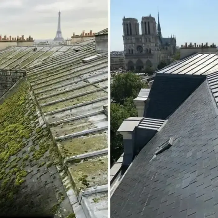 Entretien & Démoussage